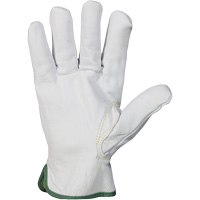 Gants r&eacute;sistant &agrave; la coupure et &agrave; l'arc &eacute;lectrique Endura, T-petit, 10" lo, 36 cal/cm², Niveau 3, NFPA 70E Advanced Consulting and Training Ltd.