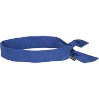 Foulard de refroidissement, Bleu Advanced Consulting and Training Ltd.