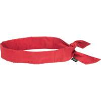 Foulard de refroidissement, Rouge Advanced Consulting and Training Ltd.