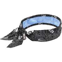 Foulard de refroidissement Chill-Its 6700CT, Multicolore Advanced Consulting and Training Ltd.
