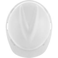 Standard Hard Hats