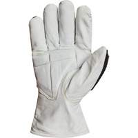 Gants r&eacute;sistant &agrave; la coupe et aux chocs Endura 378GKGVBE, Petit, Paume en Ch&egrave;vre, Poignet Conducteur Advanced Consulting and Training Ltd.
