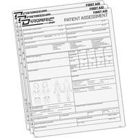 Dynamic Patient Assessment Chart Advanced Consulting and Training Ltd.