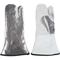 One Finger Heat Resistant Mitt, Aluminized/Kevlar&reg;/Leather, One Size, Protects Up To 650°F (343°C) Advanced Consulting and Training Ltd.