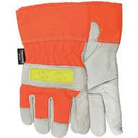 Winter Flashback Gloves, Large, Grain Cowhide Palm, Thinsulate Inner Lining Advanced Consulting and Training Ltd.