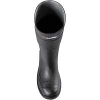 Slip Resistant Boots, Rubber, Steel Toe, Size 9 Advanced Consulting and Training Ltd.