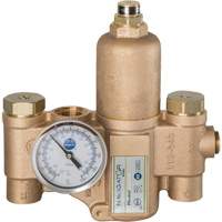 Robinet mitigeur thermostatique pour luminaires durgence Navigator EFX20, 30 gal./min Advanced Consulting and Training Ltd.