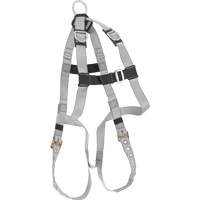 Dynamic B-Compliant Economy Harness, CSA Certified, Class AE, 310 lbs. Cap. Advanced Consulting and Training Ltd.