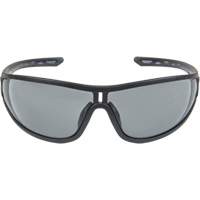 Z3000 Series Safety Glasses, Grey/Smoke Lens, Anti-Fog/Anti-Scratch, ANSI Z87+/Meets/Exceeds CSA Z94.3 Advanced Consulting and Training Ltd.