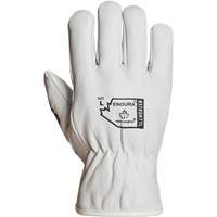 Endura&reg; Winter-Lined Driver Gloves, X-Large, Grain Goatskin Palm, Thinsulate Inner Lining Advanced Consulting and Training Ltd.