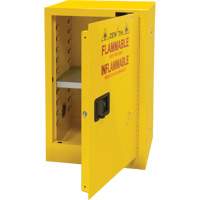 Armoire pour produits inflammables, 12 gal., 1 Porte(s), 23" La x 35" h x 18" p Advanced Consulting and Training Ltd.