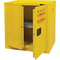 Armoire pour produits inflammables, 22 gal., 2 Porte(s), 35" La x 35" h x 22" p Advanced Consulting and Training Ltd.