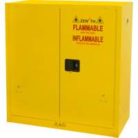 Armoire pour produits inflammables, 30 gal., 2 Porte(s), 43" La x 44" h x 18" p Advanced Consulting and Training Ltd.