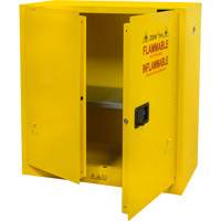 Armoire pour produits inflammables, 30 gal., 2 Porte(s), 43" La x 44" h x 18" p Advanced Consulting and Training Ltd.