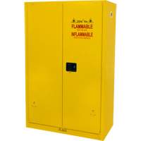 Armoire pour produits inflammables, 45 gal., 2 Porte(s), 43" La x 65" h x 18" p Advanced Consulting and Training Ltd.
