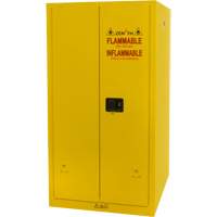 Armoire pour produits inflammables, 60 gal., 2 Porte(s), 34" La x 65" h x 34" p Advanced Consulting and Training Ltd.