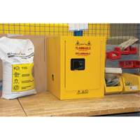 Armoire pour produits inflammables, 4 gal., 1 Porte(s), 17" La x 22" h x 18" p Advanced Consulting and Training Ltd.