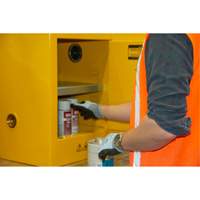 Armoire pour produits inflammables, 4 gal., 1 Porte(s), 17" La x 22" h x 18" p Advanced Consulting and Training Ltd.