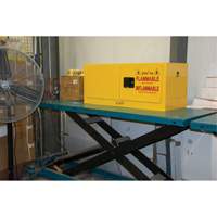 Armoire pour produits inflammables, 12 gal., 2 Porte(s), 43" La x 18" h x 18" p Advanced Consulting and Training Ltd.