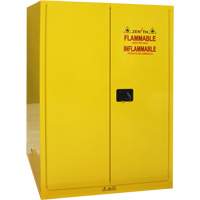 Armoire pour produits inflammables, 90 gal., 2 Porte(s), 43" La x 66" h x 34" p Advanced Consulting and Training Ltd.