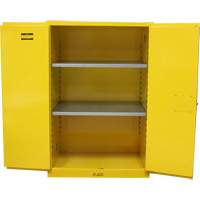 Armoire pour produits inflammables, 90 gal., 2 Porte(s), 43" La x 66" h x 34" p Advanced Consulting and Training Ltd.