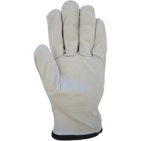 Cotton-Backed Drivers Gloves, Large, Grain Goatskin Palm Advanced Consulting and Training Ltd.