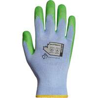 Dexterity&reg; String Knit Gloves, Poly/Cotton, Single Sided, 10 Gauge, 9 Advanced Consulting and Training Ltd.