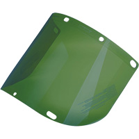 &eacute;cran facial form&eacute; Dynamic, Polycarbonate, Teinte Vert Advanced Consulting and Training Ltd.