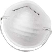 Disposable Nuisance Dust Mask Advanced Consulting and Training Ltd.