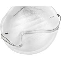 Disposable Nuisance Dust Mask Advanced Consulting and Training Ltd.
