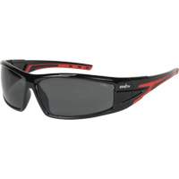 Lunettes de s&eacute;curit&eacute; de s&eacute;rie Z3300, Lentille Grise/fum&eacute;e, Anti-&eacute;gratignures/Polaris&eacute;, ANSI Z87+/R&eacute;pond ou surpasse la norme CSA Z94.3 Advanced Consulting and Training Ltd.
