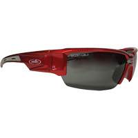 Hartley Safety Glasses, Grey Lens, Polarized, Meets/Exceeds CSA Z94.3 Advanced Consulting and Training Ltd.