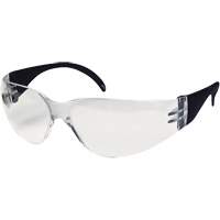 CeeTec Safety Glasses, Clear Lens, Anti-Fog/Anti-Scratch, Meets/Exceeds CSA Z94.3 Advanced Consulting and Training Ltd.