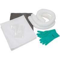 Spill Kit, Oil Only/Universal, Bag, 10 US gal. Absorbancy Advanced Consulting and Training Ltd.