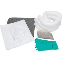 Spill Kit, Oil Only/Universal, Bag, 10 US gal. Absorbancy Advanced Consulting and Training Ltd.