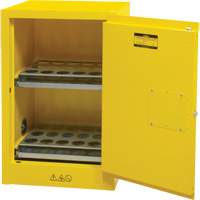 Armoire de rangement pour a&eacute;rosols inflammables, 12 gal., 1 Porte(s), 23" La x 35" h x 18" p Advanced Consulting and Training Ltd.