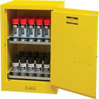 Armoire de rangement pour a&eacute;rosols inflammables, 12 gal., 1 Porte(s), 23" La x 35" h x 18" p Advanced Consulting and Training Ltd.