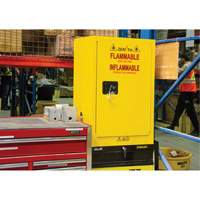 Armoire de rangement pour a&eacute;rosols inflammables, 12 gal., 1 Porte(s), 23" La x 35" h x 18" p Advanced Consulting and Training Ltd.