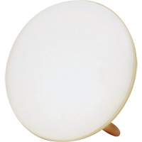 Jumbo Therapy Light for Seasonal Affective Disorder Advanced Consulting and Training Ltd.