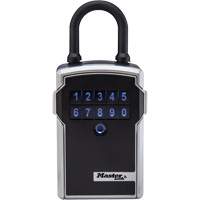 Portable Lock Box Advanced Consulting and Training Ltd.