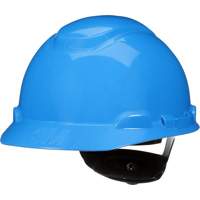SecureFit H-Series Hardhat, Meets CSA Type 1, Ratchet Suspension, Non-Vented Advanced Consulting and Training Ltd.