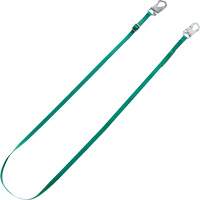 V-Series Tieback Restraint Lanyard, 10' Advanced Consulting and Training Ltd.