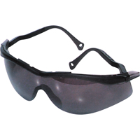 North&reg; The Edge Safety Glasses, Smoke Lens, Anti-Fog/Anti-Scratch, Meets/Exceeds CSA Z94.3 Advanced Consulting and Training Ltd.