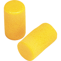 E-A-R Classic Earplugs, Pair - Pillow Pack, Large Advanced Consulting and Training Ltd.