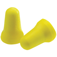 E-A-R E-Z-Fit Earplugs, Bulk - Polybag, Small Advanced Consulting and Training Ltd.
