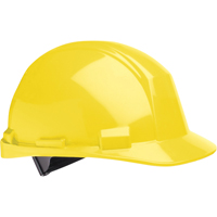 Casque de s&eacute;curit&eacute; North Matterhorn, R&eacute;pond aux normes CSA type 2, Suspension Rochet, Non ventil&eacute; Advanced Consulting and Training Ltd.