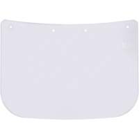 Faceshield Visors