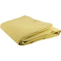 Acrylic Coated Fiberglass Blanket, 6' W x 6' L, Rated Up To 300 °F Advanced Consulting and Training Ltd.