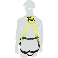 H1OO Harness, Medium/Small, 420 lbs. Cap. Advanced Consulting and Training Ltd.