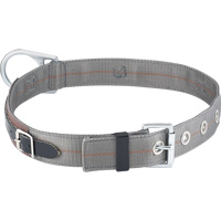 Dynamic 30" Miner's Belt Advanced Consulting and Training Ltd.